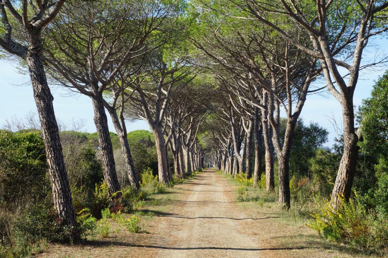 Tenuta San Carlo Marina di Grosseto Exterior foto