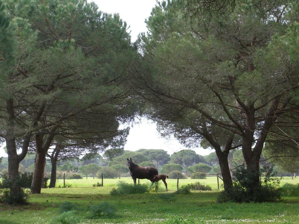 Tenuta San Carlo Marina di Grosseto Exterior foto