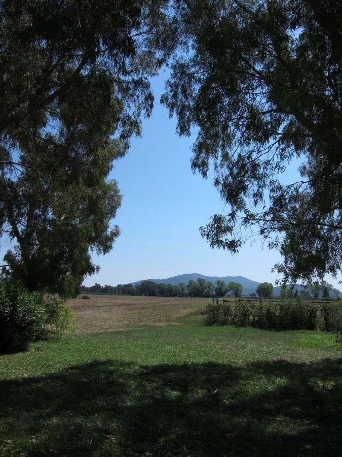 Tenuta San Carlo Marina di Grosseto Exterior foto