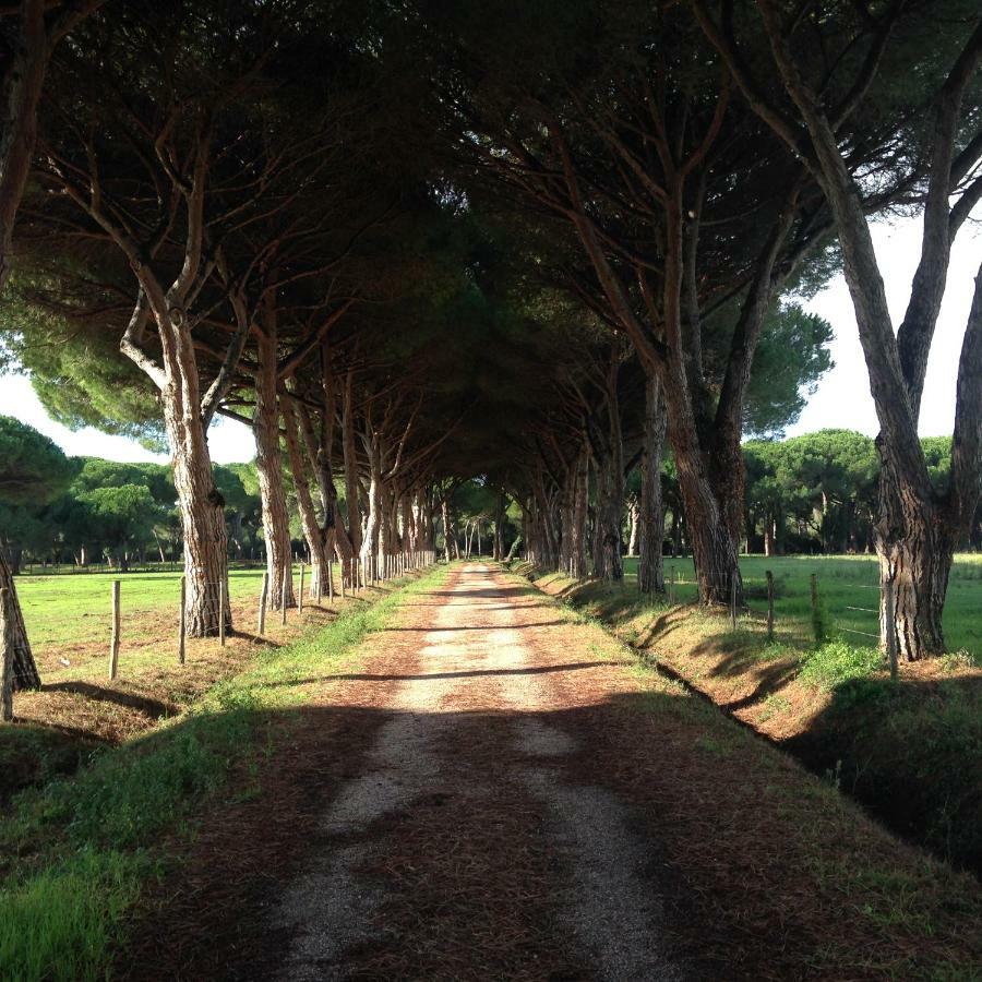 Tenuta San Carlo Marina di Grosseto Exterior foto